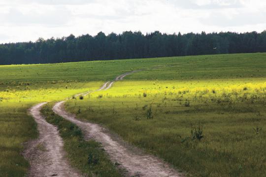 Массовая продажа земли