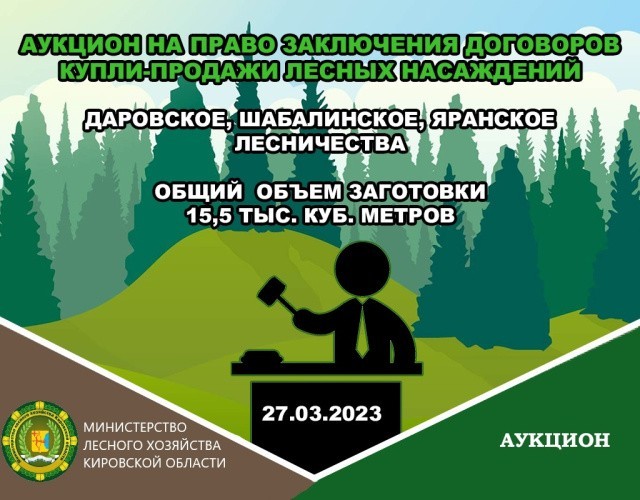 Минлесхоз выставил на торги участки для заготовки 15,5 тысячи кубометров древесины в районах Кировской области