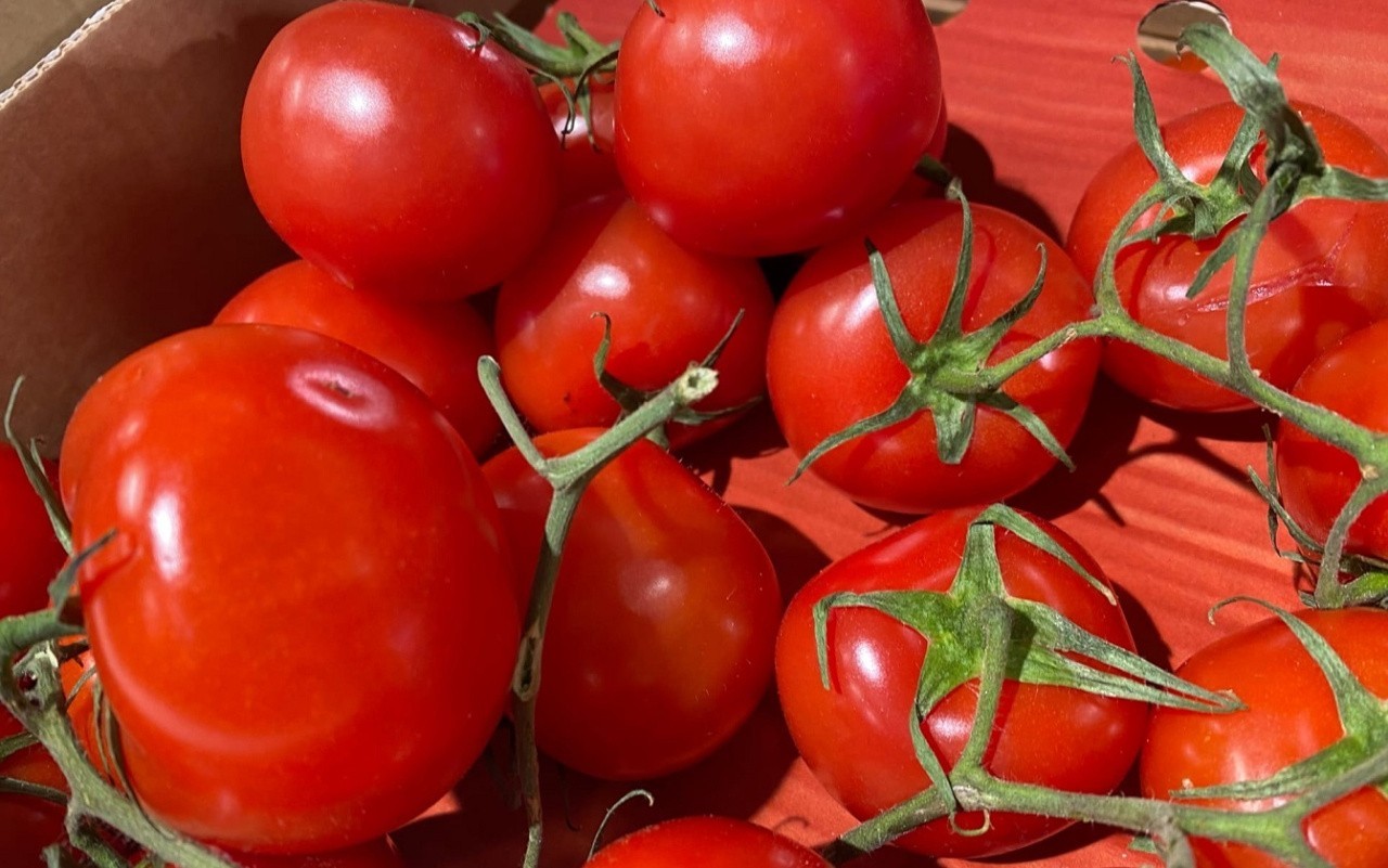 В Кировской области выделят субсидии на выращивание картофеля и овощей В Кировской области выделят субсидии на выращивание картофеля и овощей