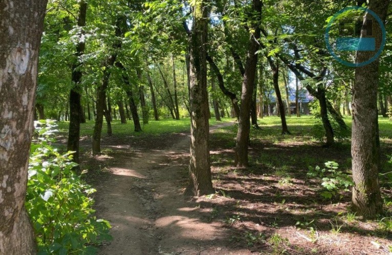 Администрация Кирова собирает предложения для разработки концепции благоустройства Заречного парка