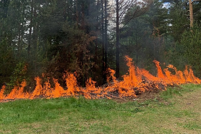 За выходные в Кировской области горели леса на площади больше 23 гектаров