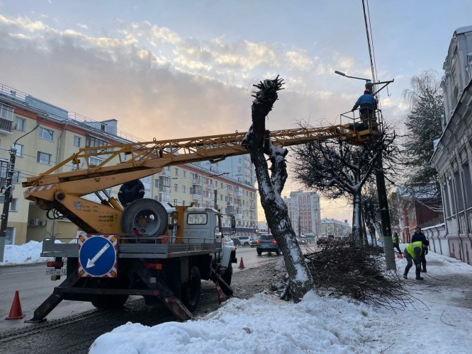 В Кирове прошла омолаживающая и санитарная обрезка деревьев на шести улицах