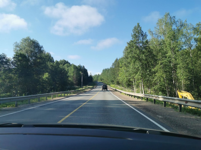 На уборку «нежелательных» деревьев на дорогах Кировской области готовы потратить 14 миллионов
