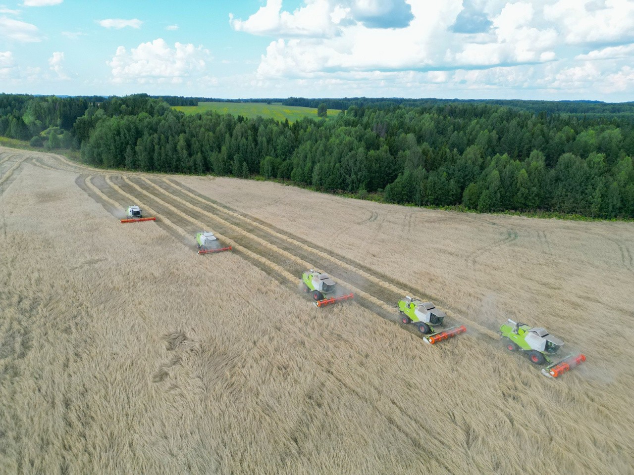 Агрохолдинг «Дороничи» сохраняет лидирующие позиции в Кировской области и за ее пределами