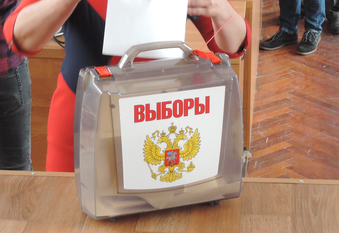 В Кировской области штаб наблюдателей за выборами возглавила Марина Копырина