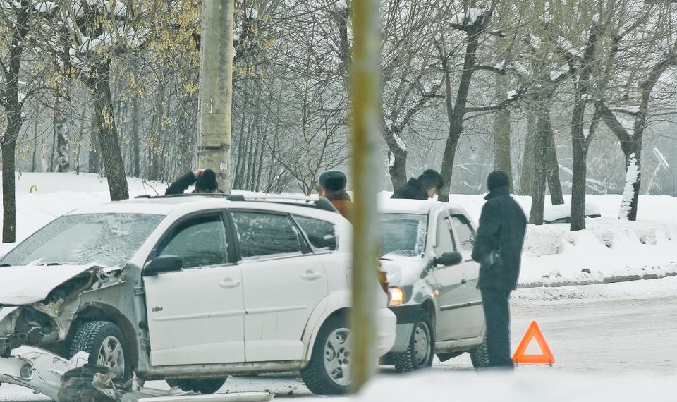 Причиной дтп стал бобер гей