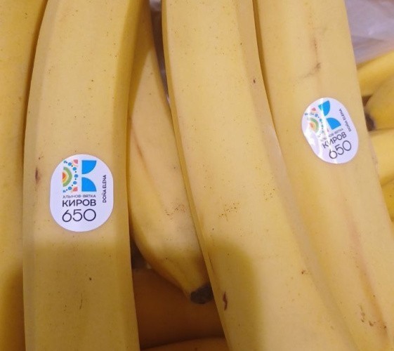 В Узбекистан поступили 264 тонны бананов с логотипами 650-летия Кирова
