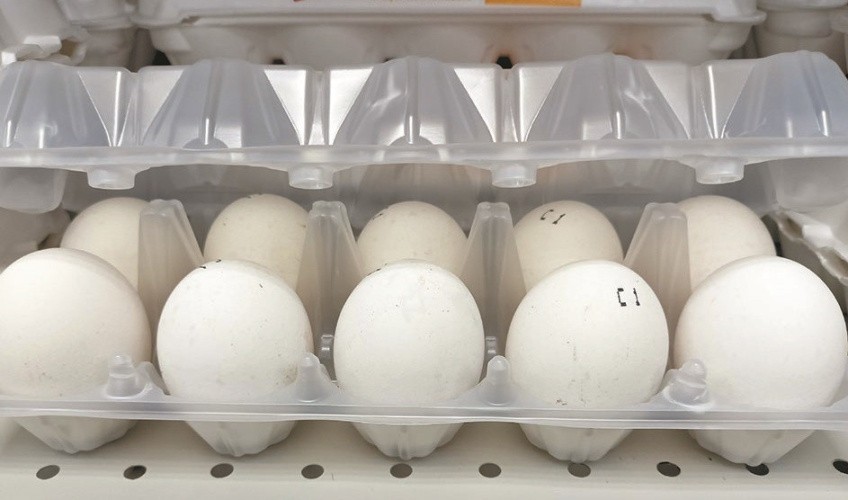 В Кировской области яйца подешевели на фоне импортных поставок – ЦБ