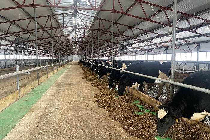 В Уржумском районе открылась новая животноводческая ферма 
