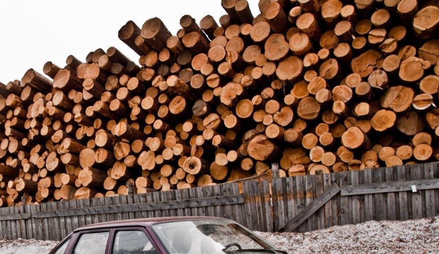 Лес для местных: большинство договоров аренды леса заключено с предприятиями Кировской области
