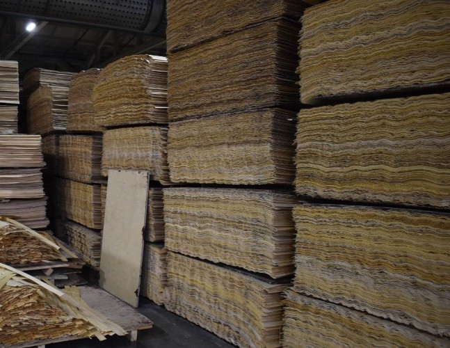 Из Кировской области в Китай экспортировали 2,69 тыс. кубометров березовой фанеры