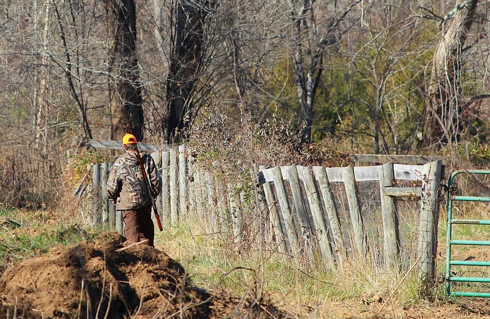 Новости от «Бизнес новостей» Новые правила охоты: Петельному лову дали добро