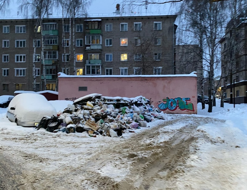 Роман Титов о мусорном коллапсе: самое главное не изменилось