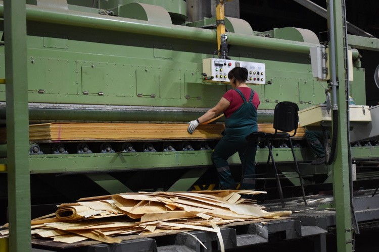 В Кировской области появилась группа по решению вопросов переработки низкосортной древесины