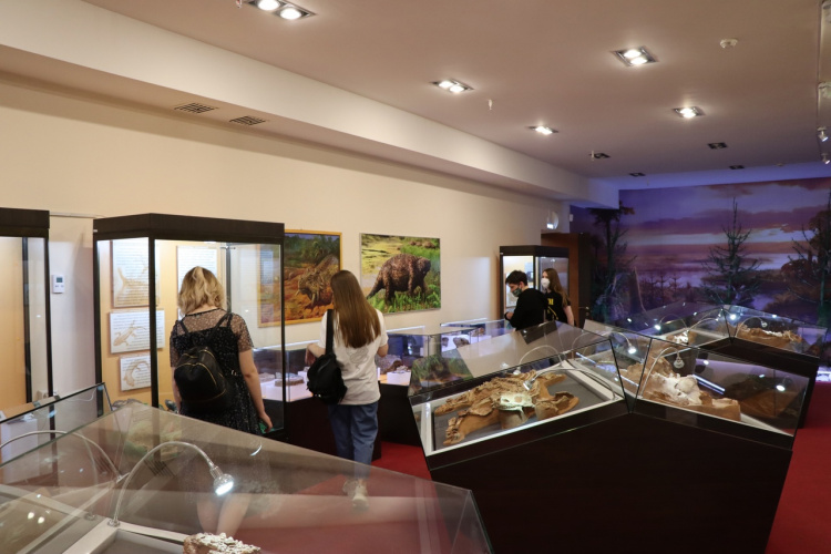 Вятский палеонтологический музей попал в путеводитель знаковых мест российских регионов