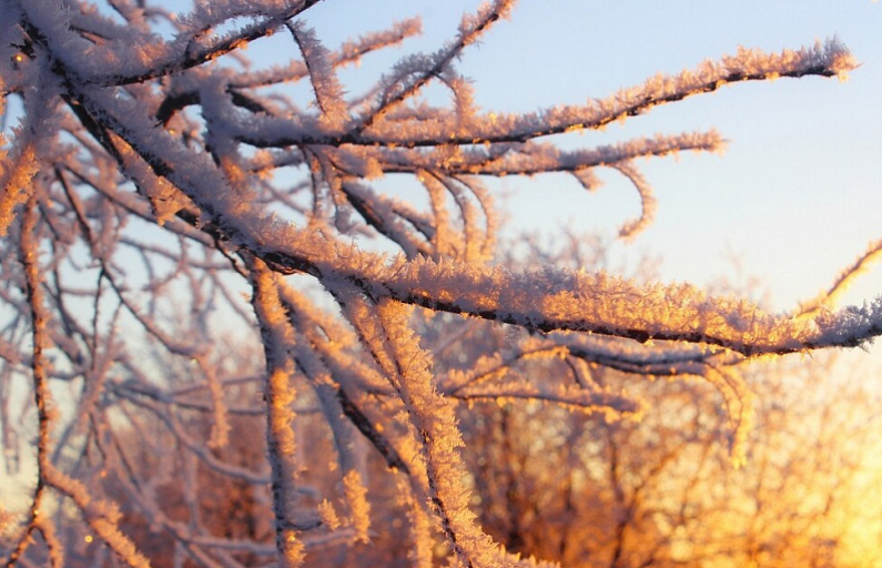 Новости от «Бизнес новостей» МЧС предупредило об аномальных холодах в Кировской области