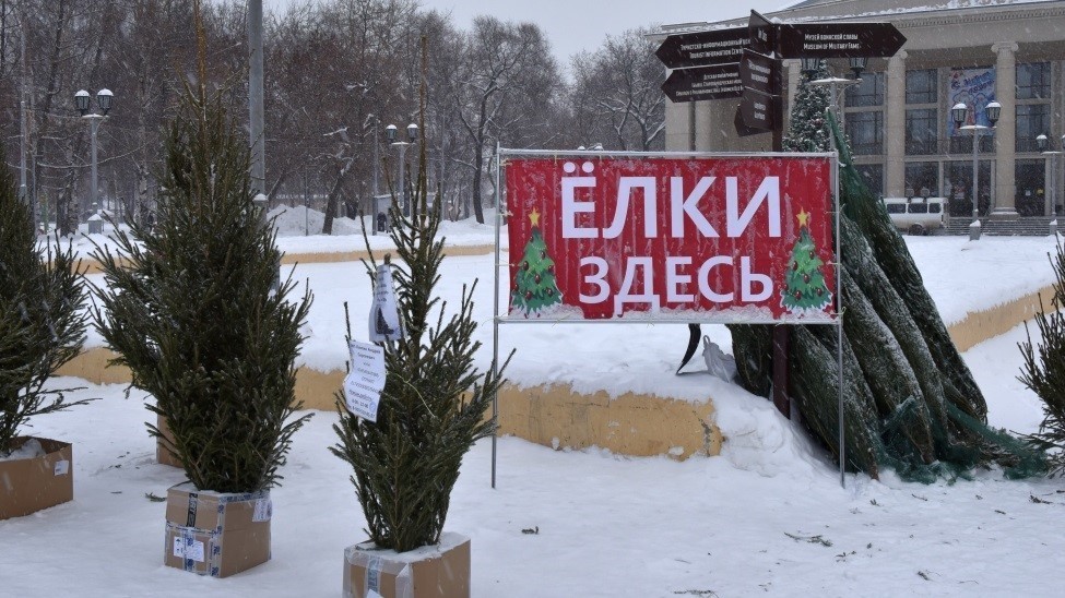 Участки под НТО для елочных базаров в Кирове сдают в аренду по 4,4 тысячи рублей Участки под НТО для елочных базаров в Кирове сдают в аренду по 4,4 тысячи рублей