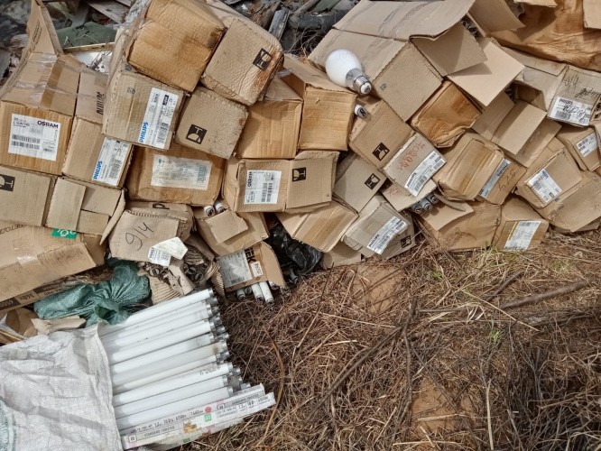 В лесополосе в Слободском районе неизвестные выбросили более 3 000 ртутных ламп