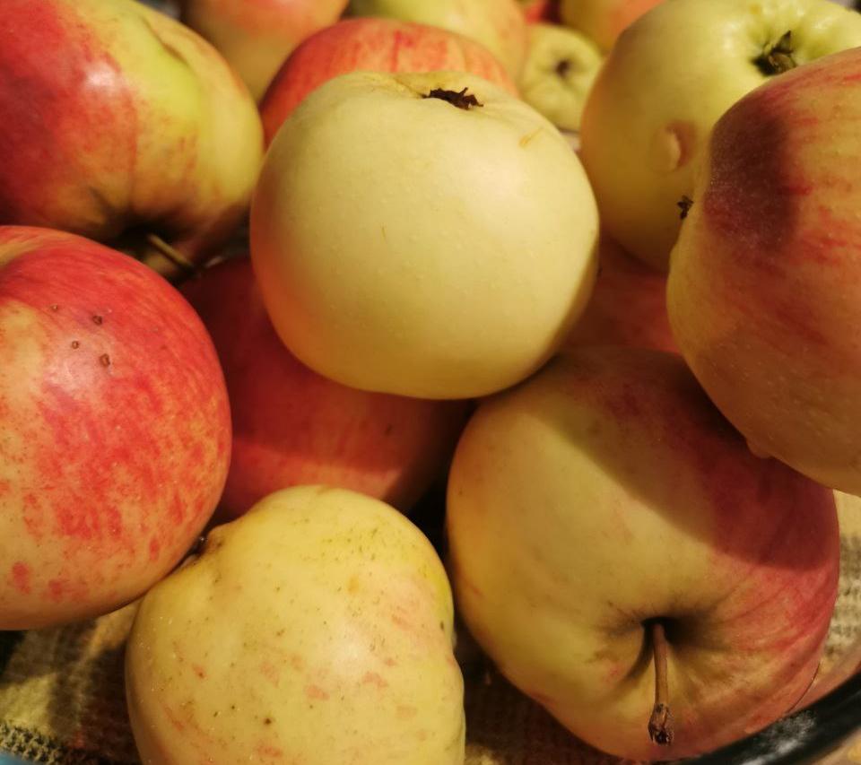 За 2022 год в Кировскую область импортировали 154 тонны белорусских яблок