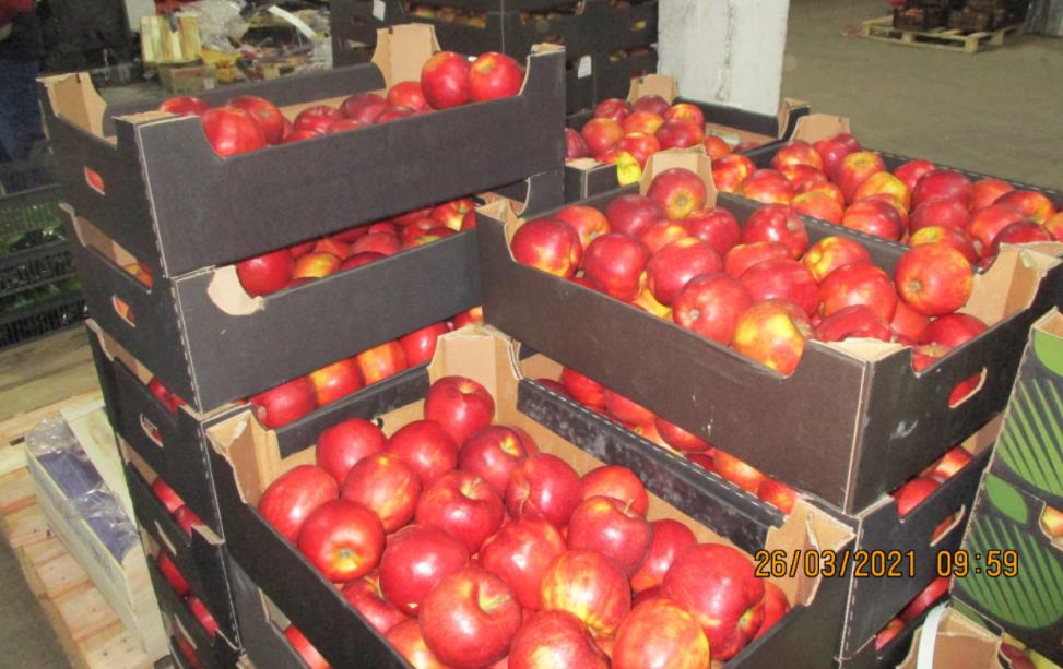 Россельхознадзор изъял и раздавил 1,2 тонны яблок без документов