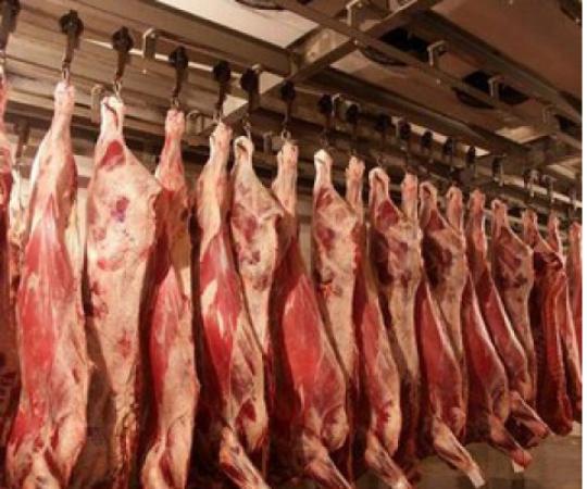 В Кировской области из-за чумы свиней в Татарстане ввели режим повышенной готовности