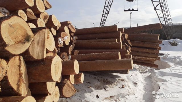 В Омутнинском районе продается предприятие по переработке древесины с собственным лесом