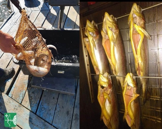 Владелец фермы в Омутнинском районе планирует заняться переработкой рыбы