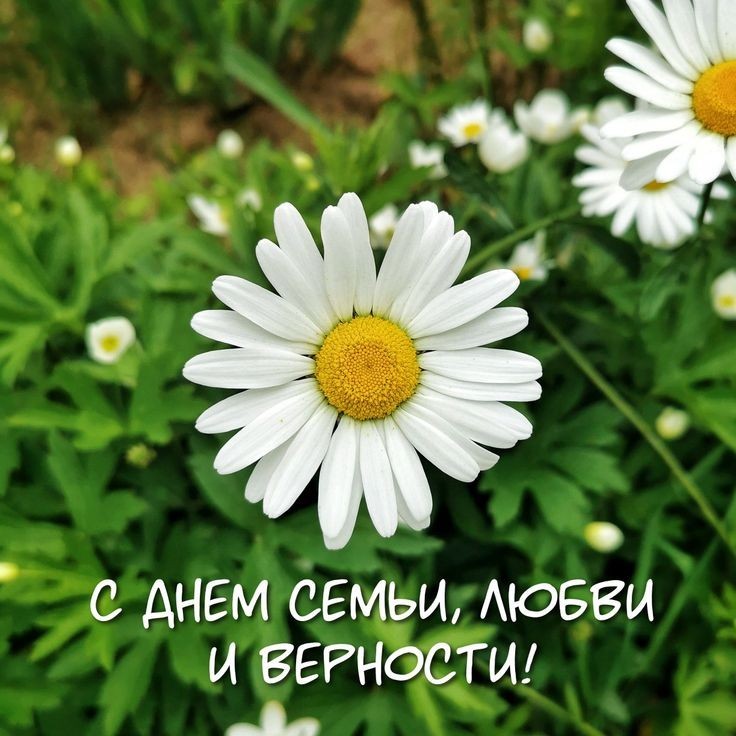 Презентация на 8 июля на день семьи любви и верности