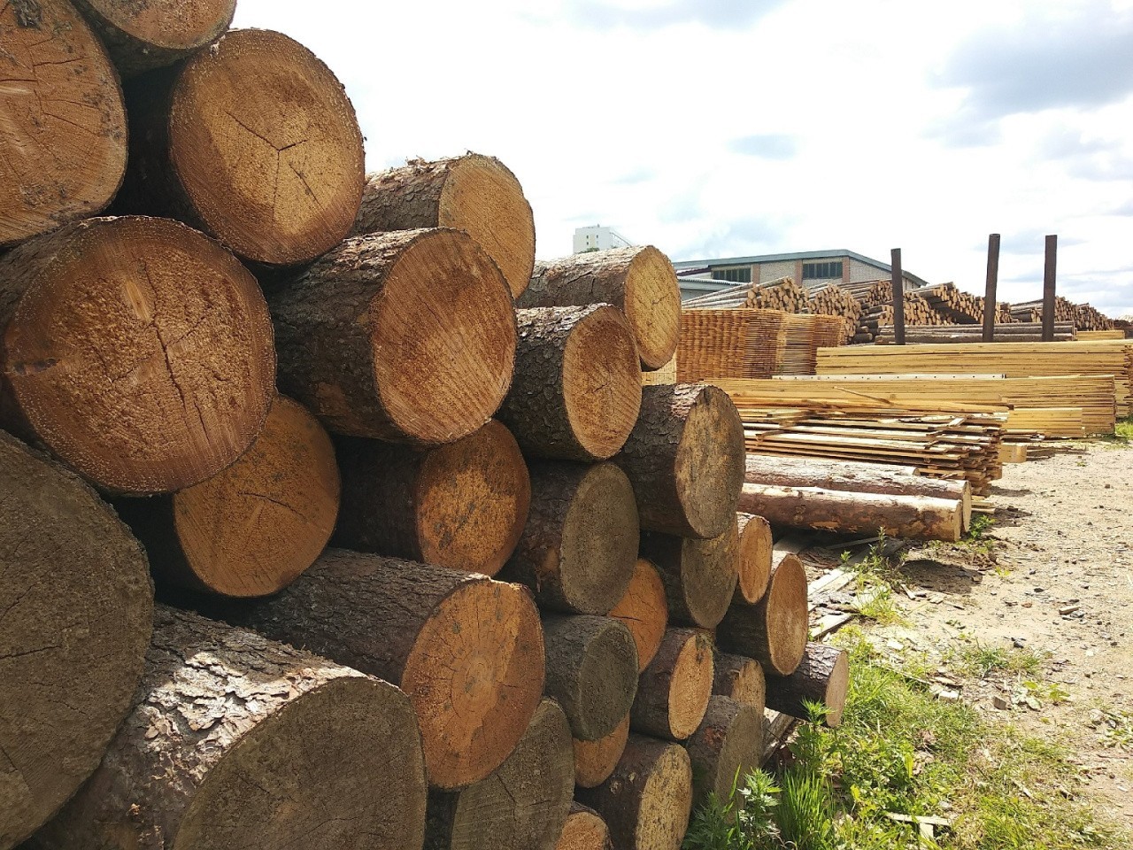 Кировские предприятия намерены создать мощности по переработке древесных отходов Кировские предприятия намерены создать мощности по переработке древесных отходов