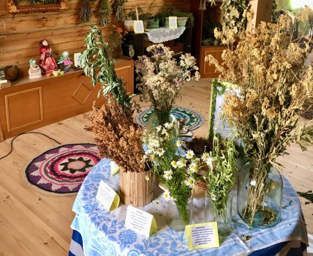 Музей Кирово-Чепецкого района знакомит гостей с использованием трав в кулинарии