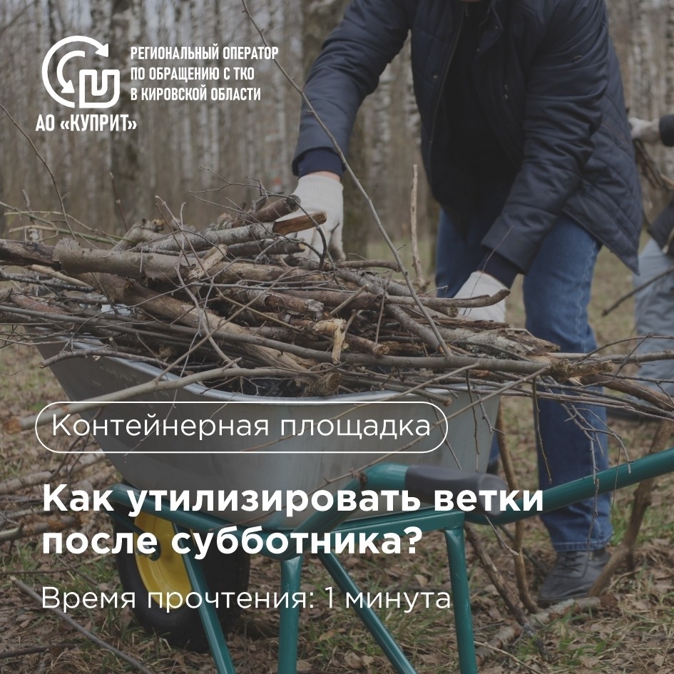 Кто отвечает за вывоз веток после субботника? Кто отвечает за вывоз веток после субботника?
