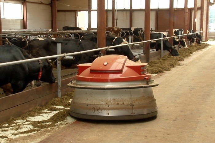 В селе Елгань Кировской области открыли ферму, на которой коров доят и кормят роботы