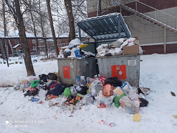 Титов напомнил Албеговой про нормативы при вывозе мусора