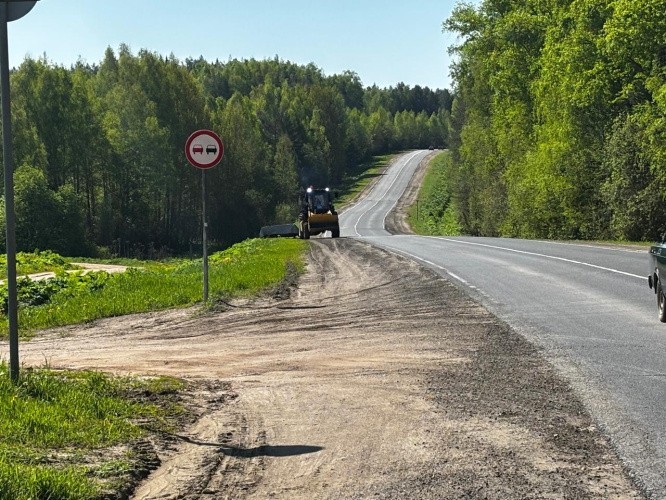 Вдоль автомобильных трасс Кировской области начали косить борщевик