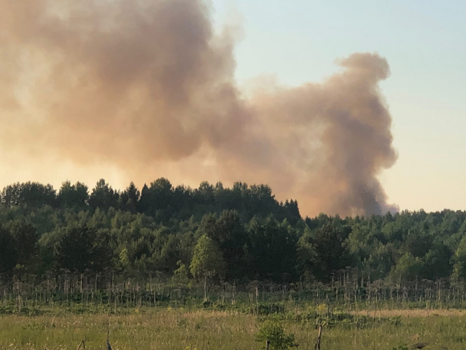 В Кировской области горит полигон ТКО в Лубягино