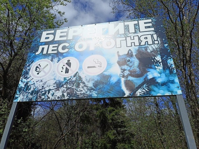 Из-за жары и сухой погоды в лесах Кировской области введены жесткие ограничения