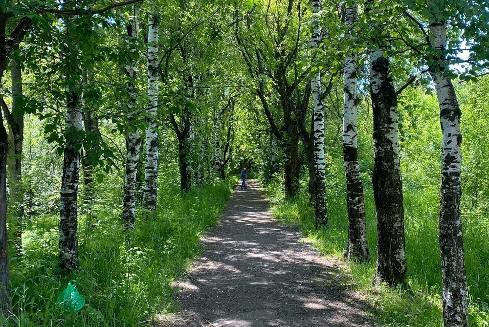 В Вятских Полянах благоустроят городской парк у площади Победы В Вятских Полянах благоустроят городской парк у площади Победы