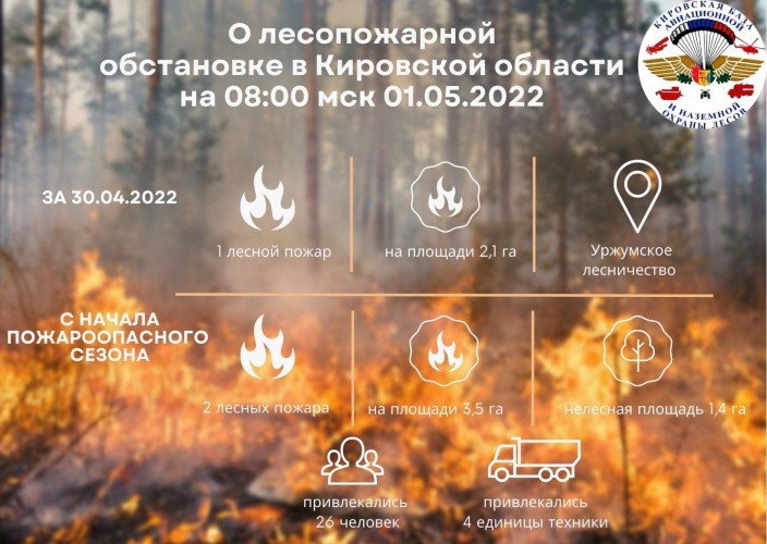 В Уржумском районе горел лес на площади 2,1 га