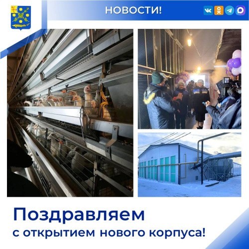 В Вятских Полянах птицефабрика открыла новый корпус на 100 тысяч птиц