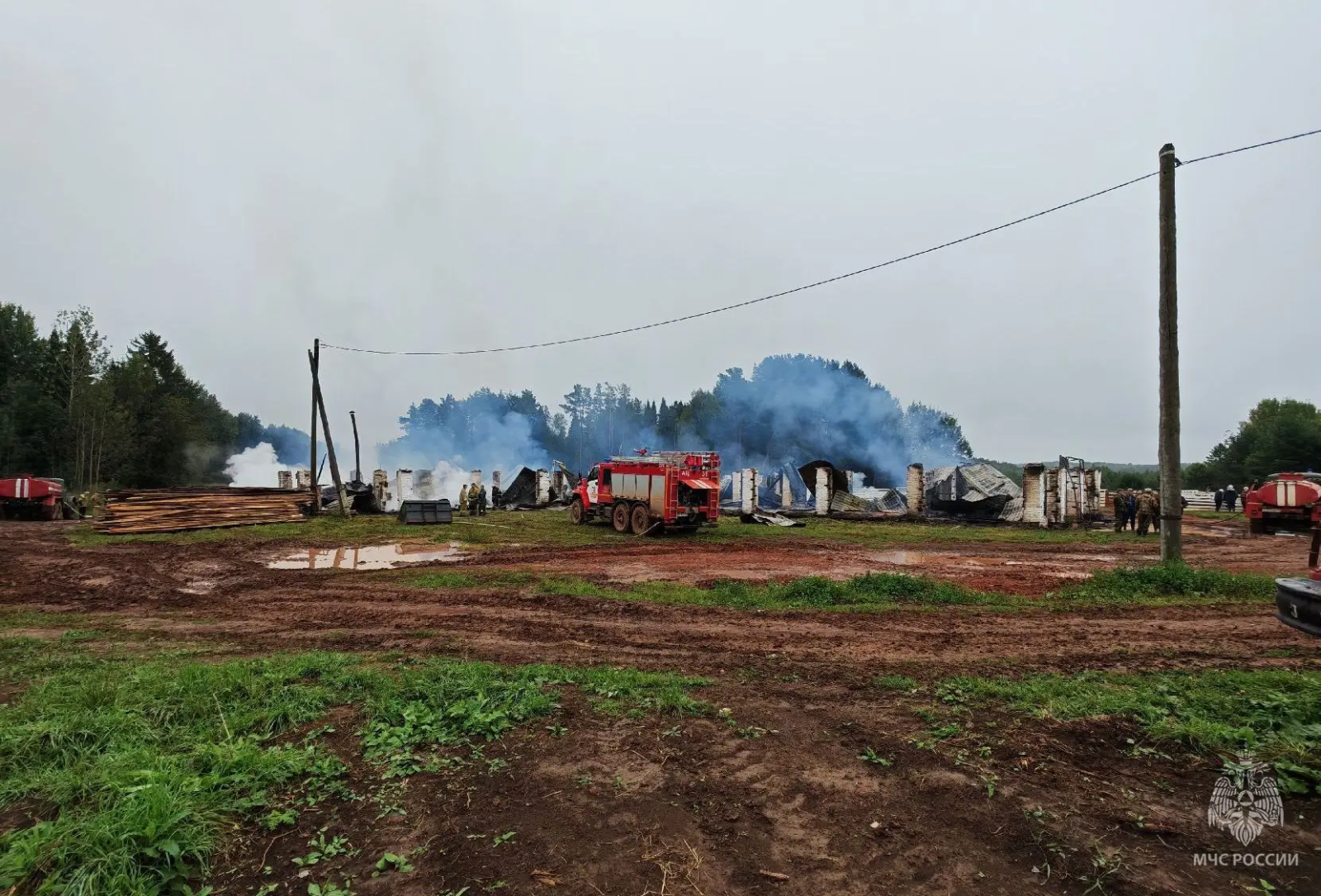 В пожаре на частной ферме в Фалёнском районе погибло 26 овец и 500 птиц В пожаре на частной ферме в Фалёнском районе погибло 26 овец и 500 птиц