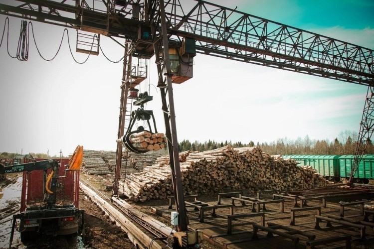 Андрей Тетерин сообщил о росте объемов лесозаготовки в Кировской области