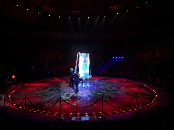 Кировский цирк получил бессрочное разрешение на использование животных