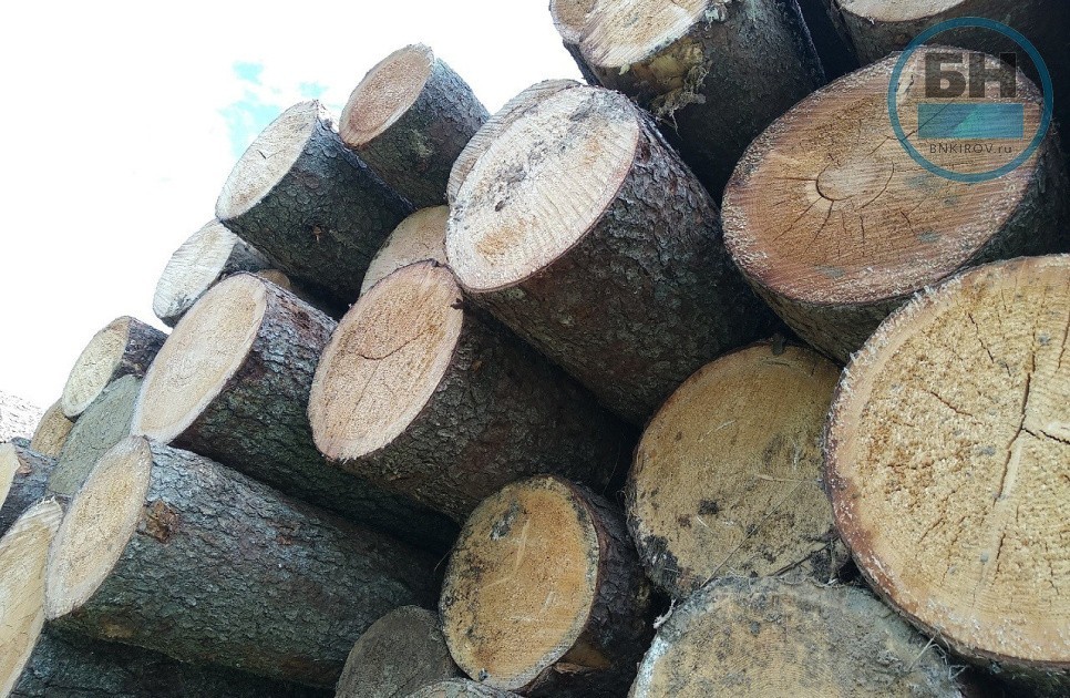 В Кировской области планируют увеличить доходы от леса до 1,8 млрд рублей В Кировской области планируют увеличить доходы от леса до 1,8 млрд рублей