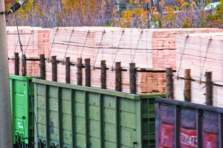 Кировским экспортерам пиломатериалов дали «зеленый свет» на транзит продукции через Казахстан и Белоруссию