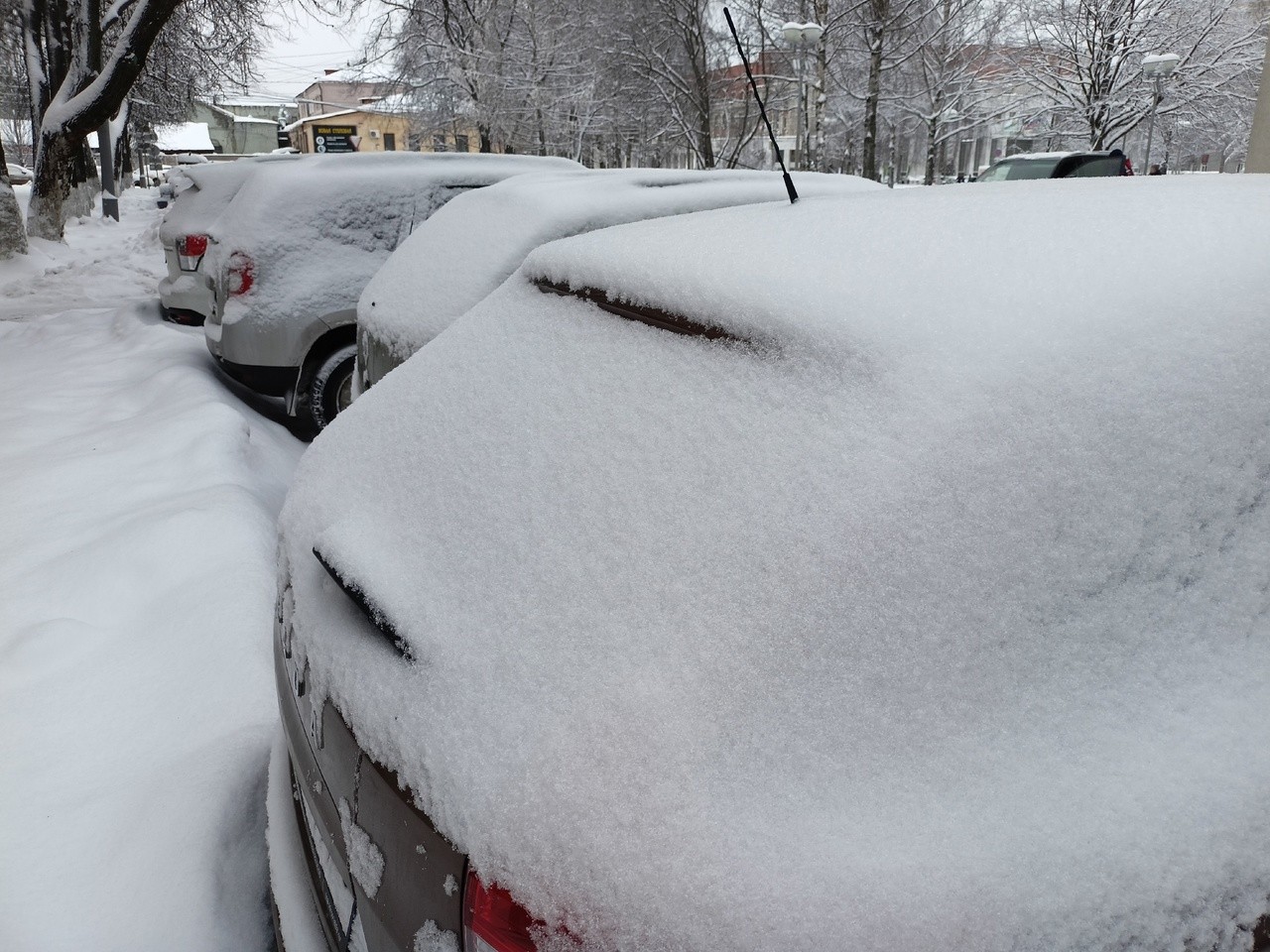 Соколов предложил ввести в Кирове новую парковочную схему Соколов предложил ввести в Кирове новую парковочную схему