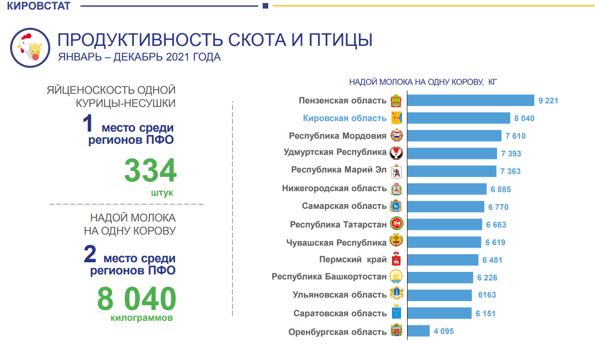 За 2021 год куры в Кировской области дали больше всех яиц среди регионов ПФО