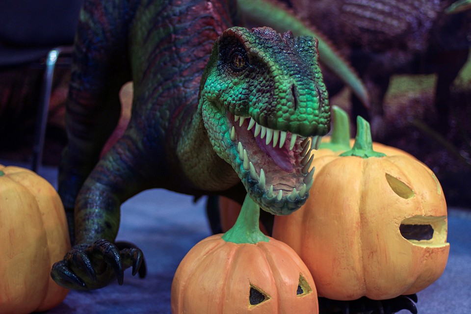 Как приготовить торт в виде 3D динозавра ко Дню Рождения