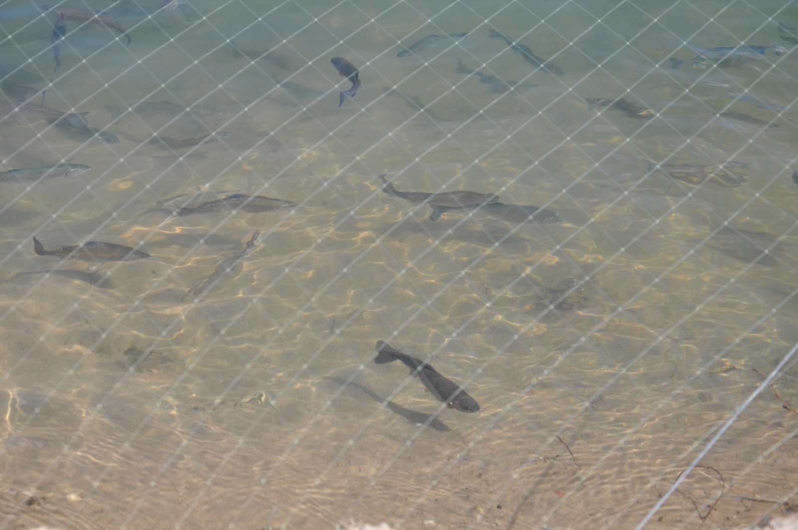 Ay_vWYLQeok.jpg Ay_vWYLQeok.jpg