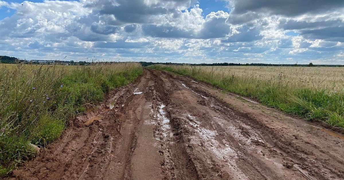 Местные сельские дороги