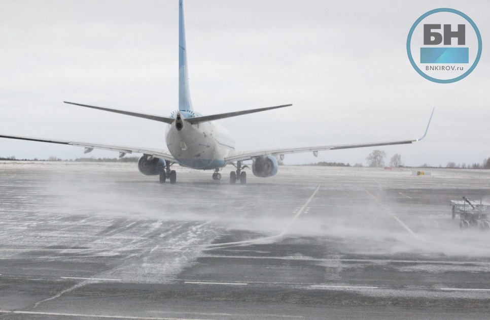 Минприроды РФ проверит свалки у аэропортов из-за столкновения птиц с самолетами